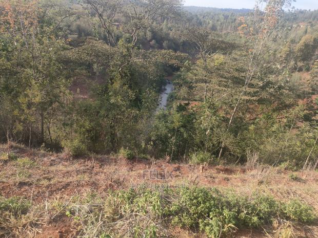 Karatina Wariruta / Wakamata - thumbnail 5