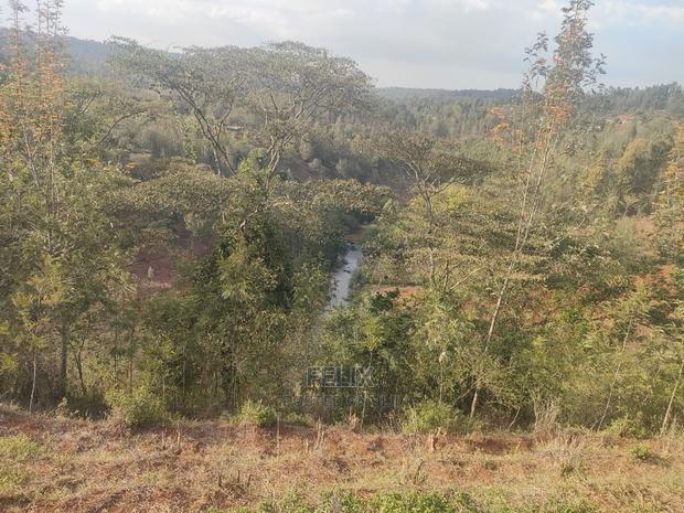 Karatina Wariruta / Wakamata - thumbnail 6