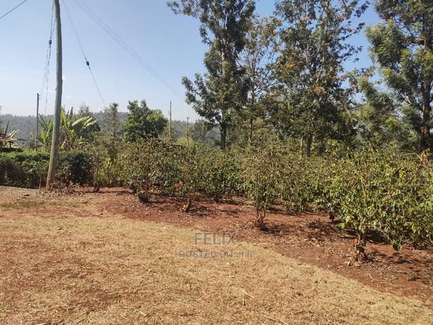 Karatina Wariruta / Wakamata - thumbnail 16