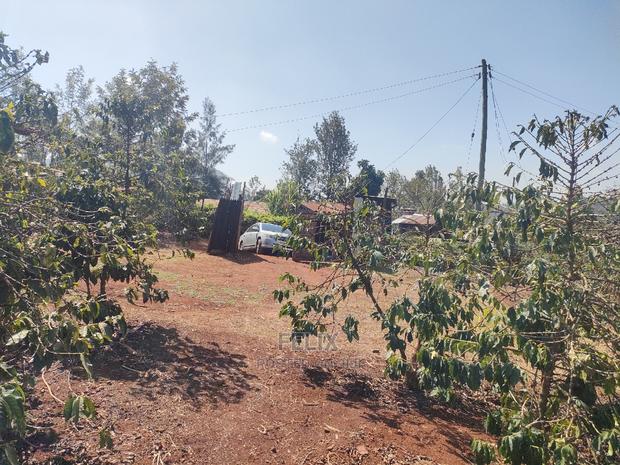 Karatina Wariruta / Wakamata - thumbnail 17