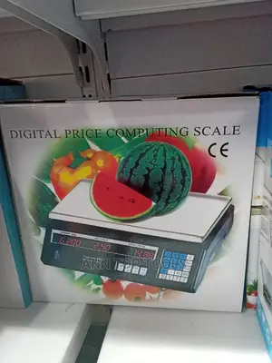 30 Kg Digital Computing Scale