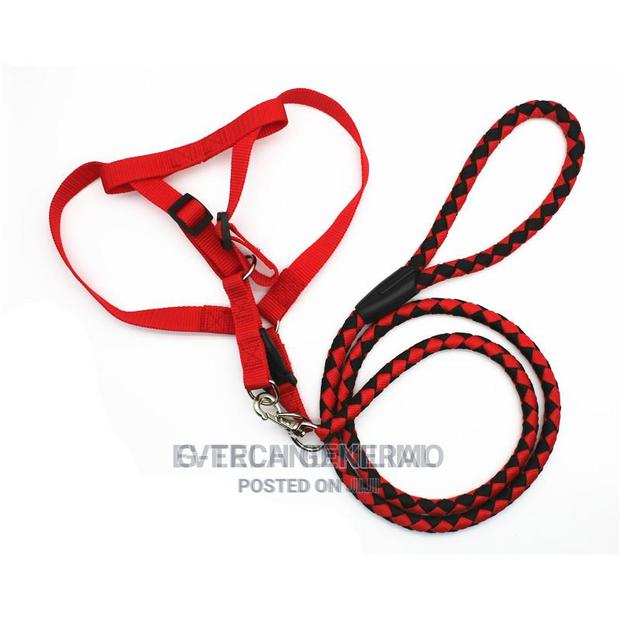 Generic Adjustable Step-In Dog Leash and Harness Set - main view