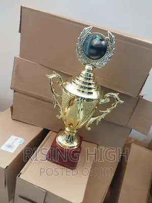 Unique Quality Award Trophies.