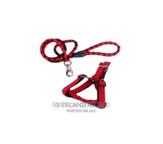 Generic Adjustable Dog Leash and Harness Set - main view