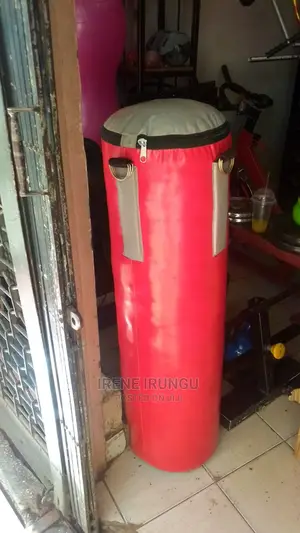 Gym /Punching Bags