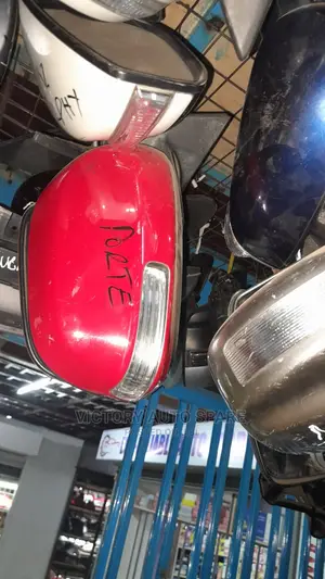 Porte Side Mirror