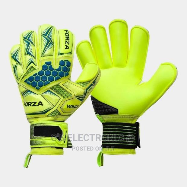 The Goalkeeper Gloves