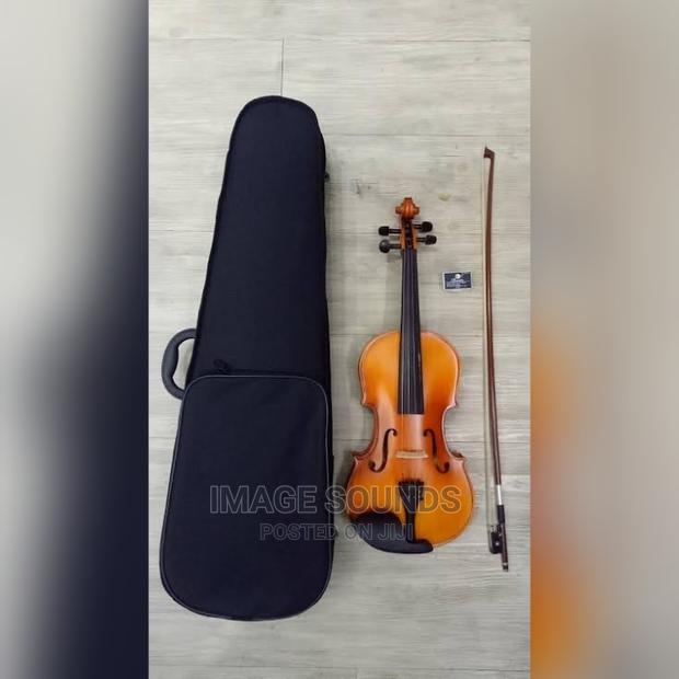 Violin,Maple - main view