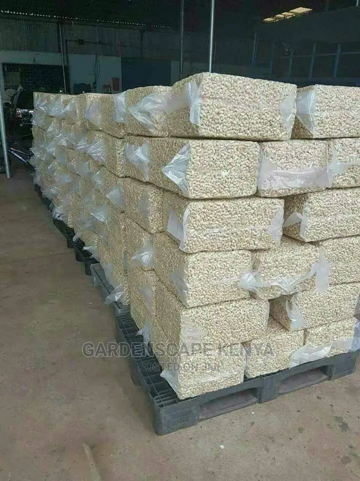 Cashew Nuts/Korosho Per Kg