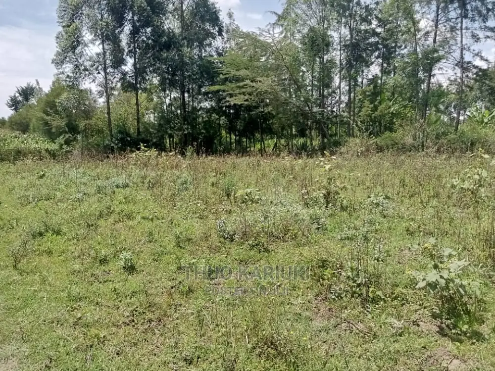 Prime Plots for Sale