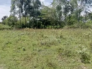 Prime Plots for Sale