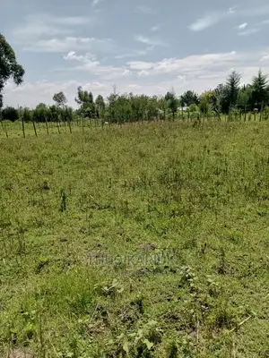Prime Plots for Sale