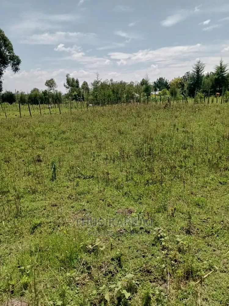 Prime Plots for Sale