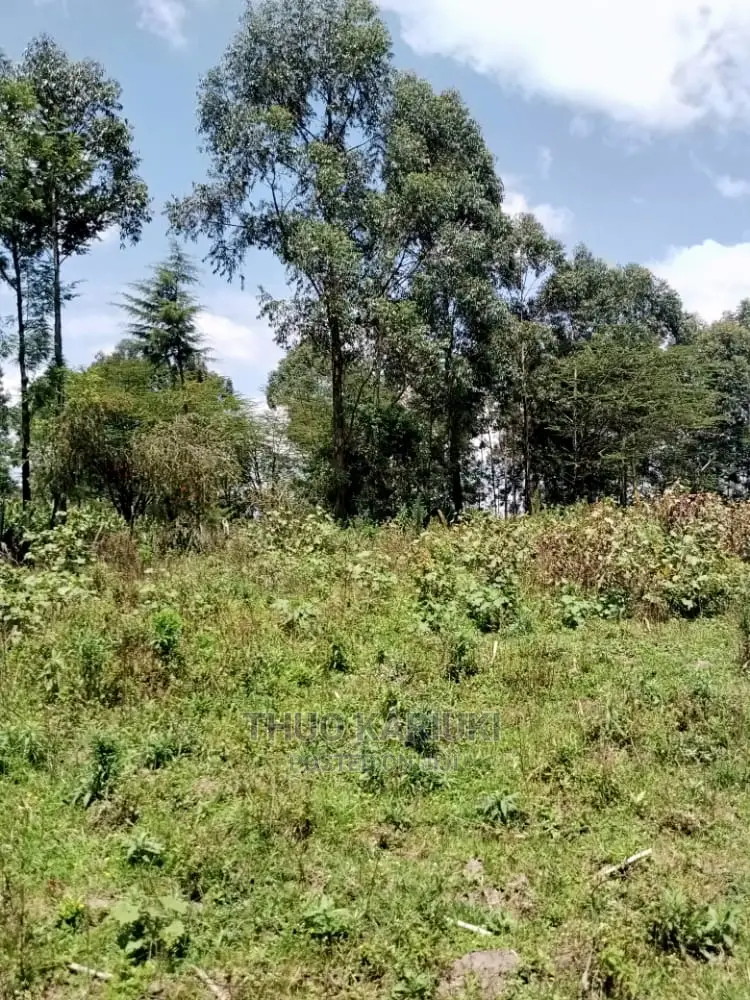 Prime Plots for Sale