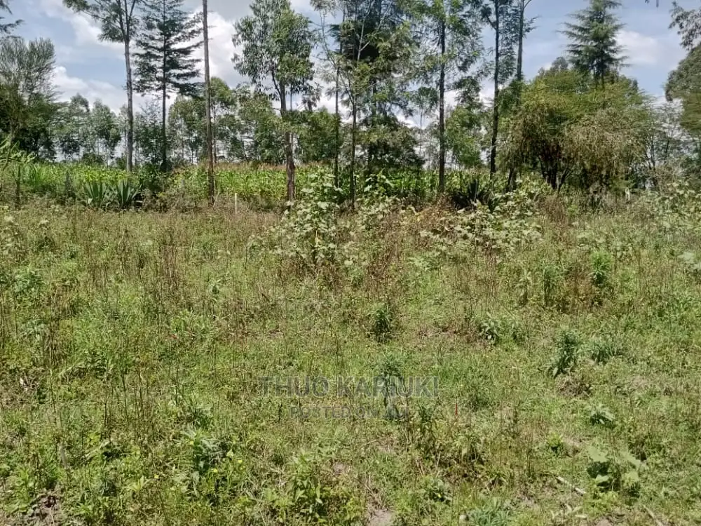 Prime Plots for Sale