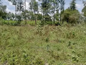 Prime Plots for Sale