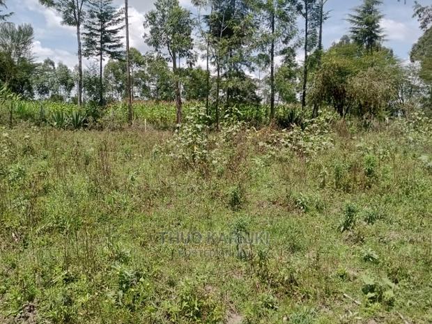 Prime Plots for Sale - thumbnail 6