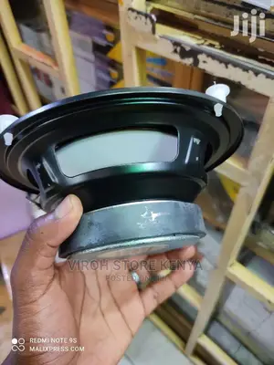 Naked 100watts Speaker