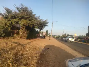 Karatina/Jambo Touching Main Tarmac 50/100