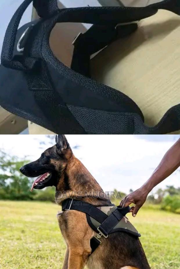 Original High Quality Dog Harness - thumbnail 2