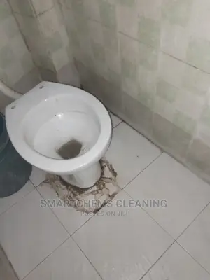 Toilet and Floor Cleaner