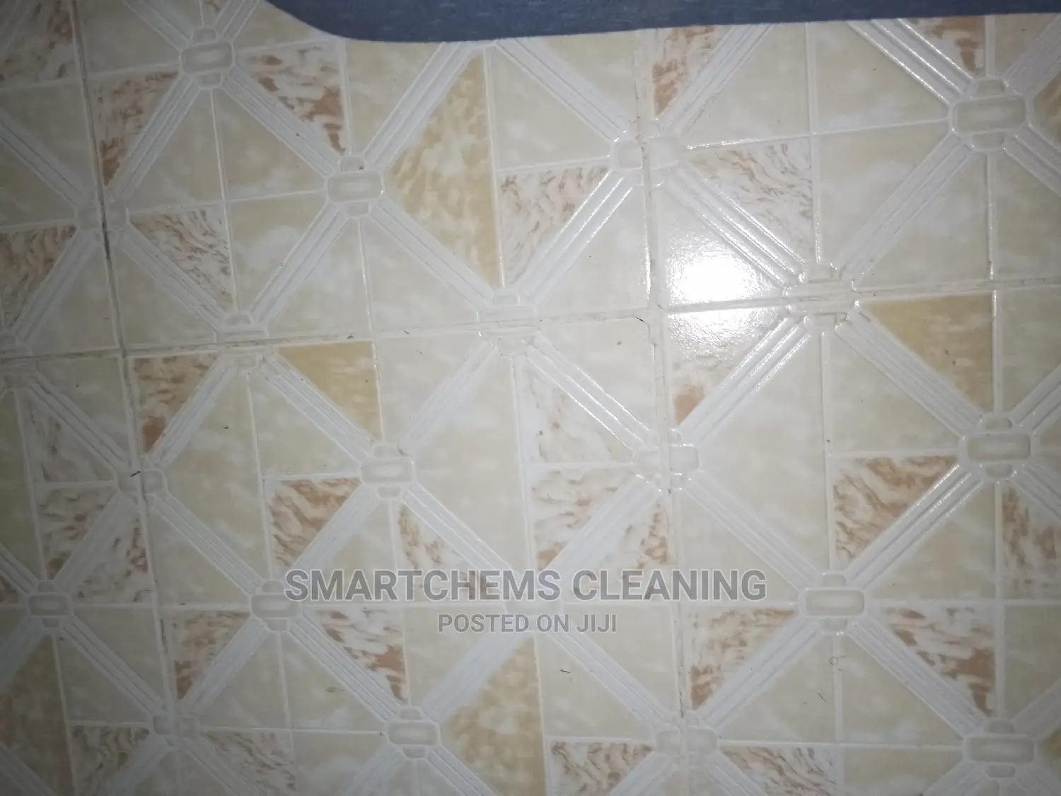 House Cleaning and Mopping
