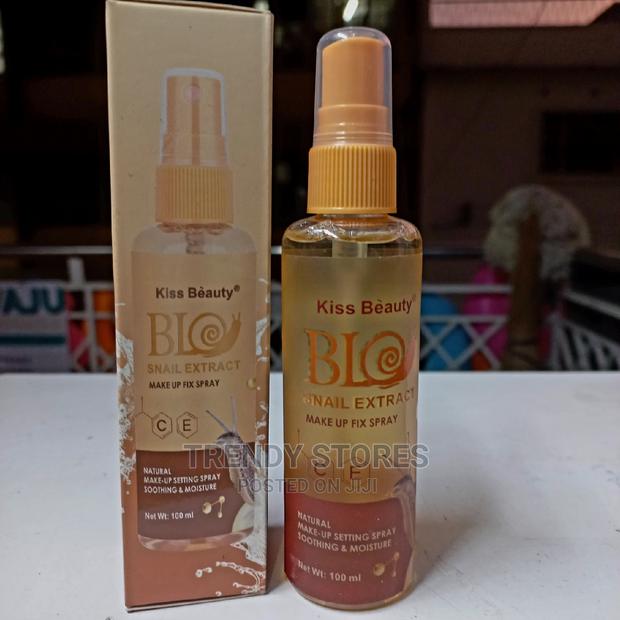 Snail Extract Make Up Fix Spray - main view