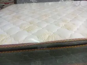 Flex! 10yrs Warranty 5 X 6 X 10 Pillow Top Spring Mattresses