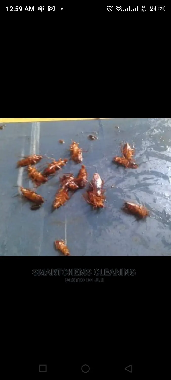 Cockroaches Elimination