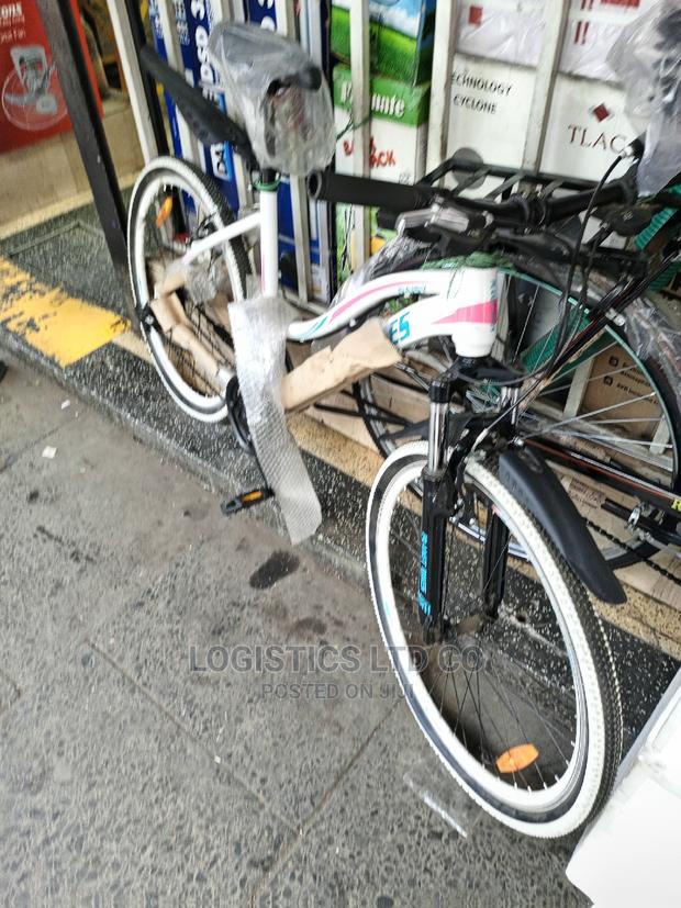 Size 24 Bicycles - main view