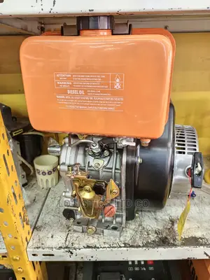 Skygo Diesel Engine 192F