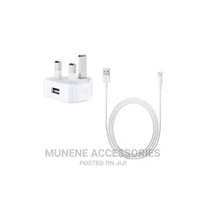 Apple 5W Charger for iPhone 5 6 7 8 9 + BLUETOOTH EARPHONE