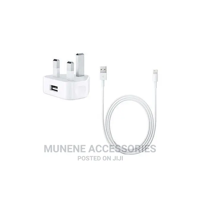 Apple 5W Charger for iPhone 5 6 7 8 9 + BLUETOOTH EARPHONE