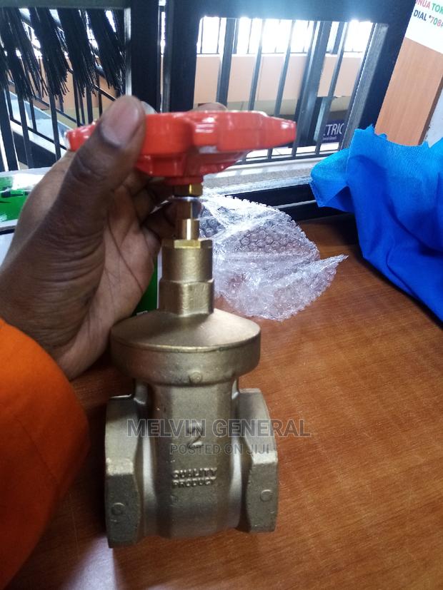 2" Gate Valve Lirelle - main view