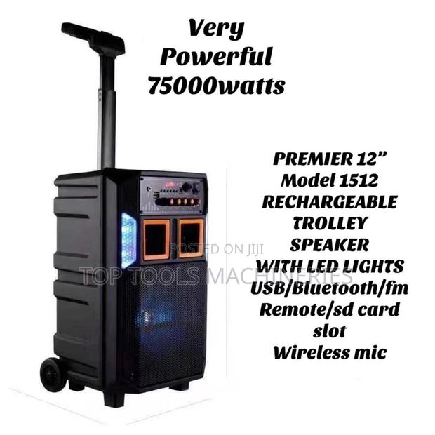 Premier Portable 12 INCH PARTY SPEAKER