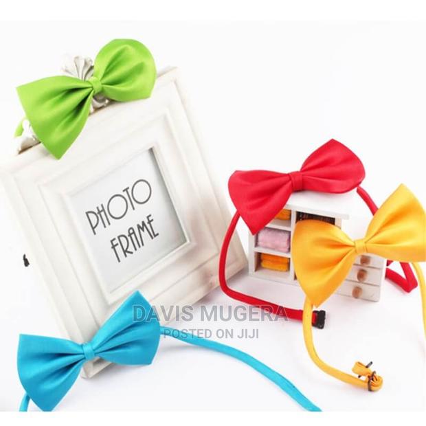 Lux Bow Tie for Cats Dogs - thumbnail 3