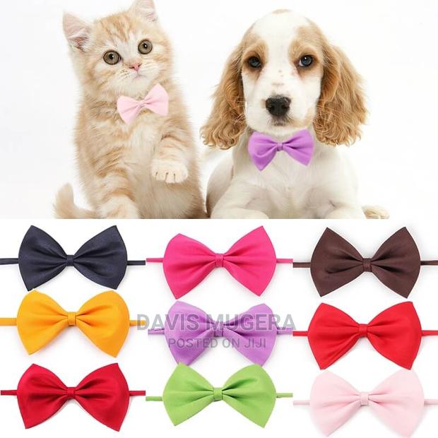 Lux Bow Tie for Cats Dogs - main view