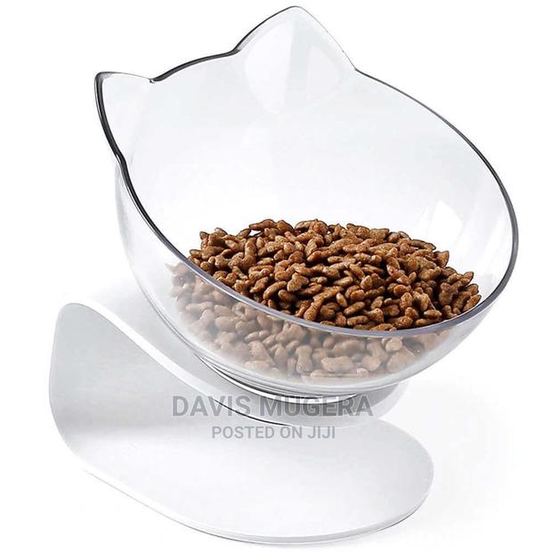 Luxury Single Raised Cat Bowl, Anti-Slip Bottom - main view