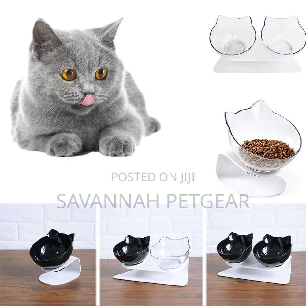 Luxury Single Raised Cat Bowl, Anti-Slip Bottom