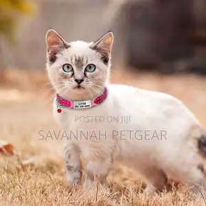 Universal Personalised Dog Cat Pet Name ID Tag, 6.3*1.1cm