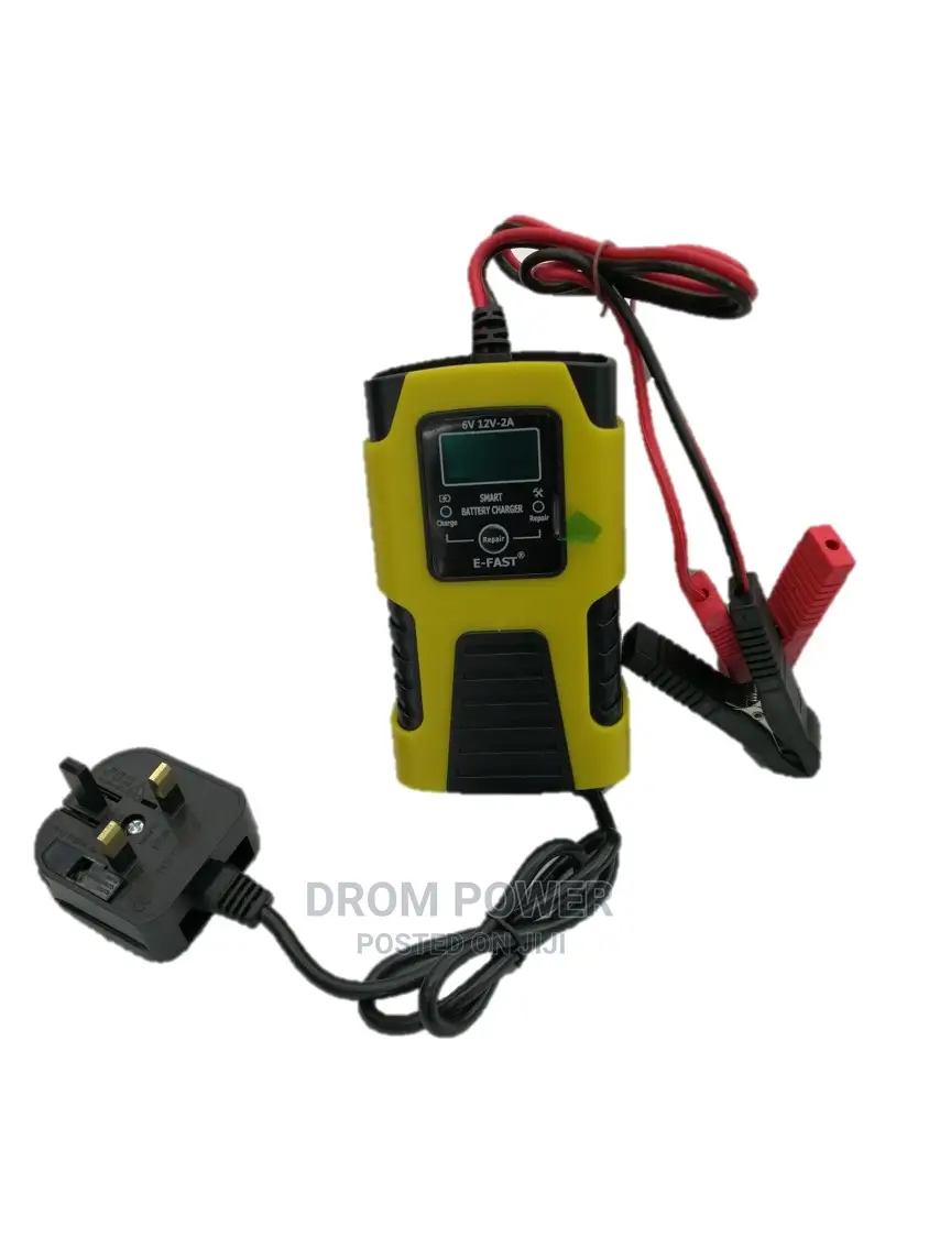 Battery Smart Charger 6v/12v