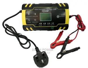 Battery Charger Pulse Repair 12v/24v