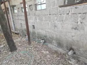 Snakes Control