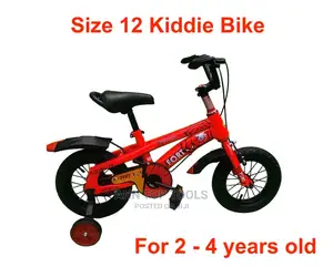 Lion King BMX Unassembled 4 Pcs Per CTN 20"