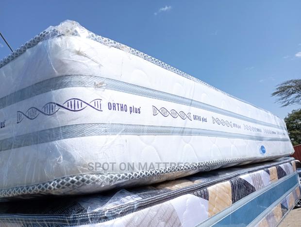 5by6 10" Orthopaedic Spring - thumbnail 4