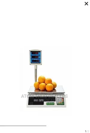 ACS 30 Digital Weighing Scale - Up to 30kgs