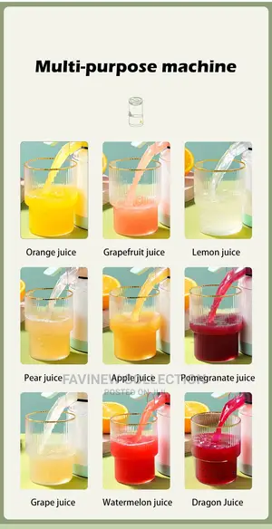 Portable Electric Juicer