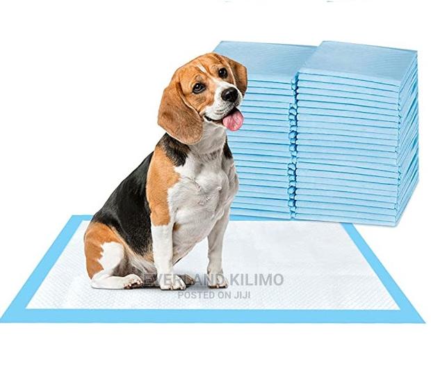 Medium Training Pee Pads- Dog/Cat - main view