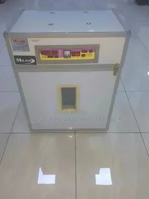 Eggs Incubator