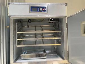 Eggs Incubator - thumbnail 2